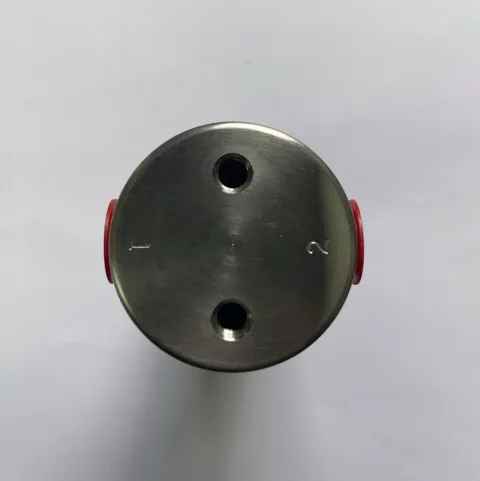 Upper end of Parker Finite S1R-6C04-023 showing numbered ports and protective caps